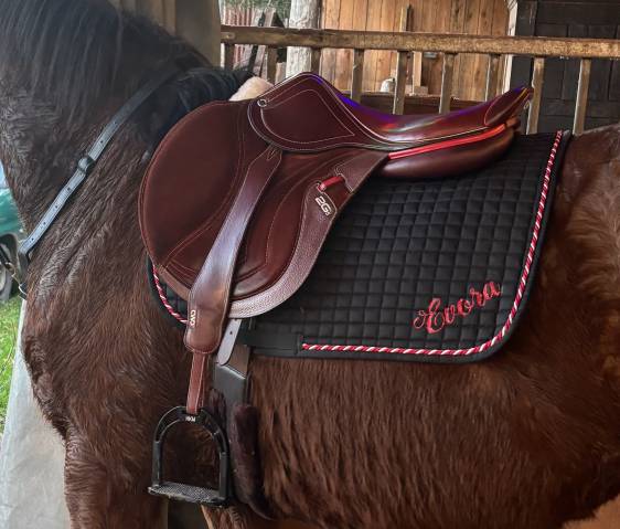 Sella da salto ostacoli CWD  17.5" - 2021