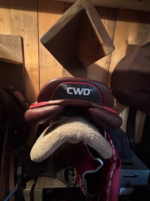 Sella da salto ostacoli CWD  17.5" - 2021