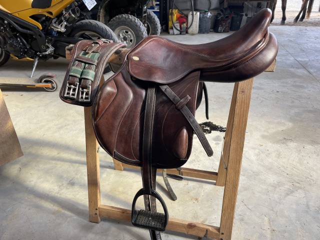 Sella da cross Eric Thomas  17" - 2015