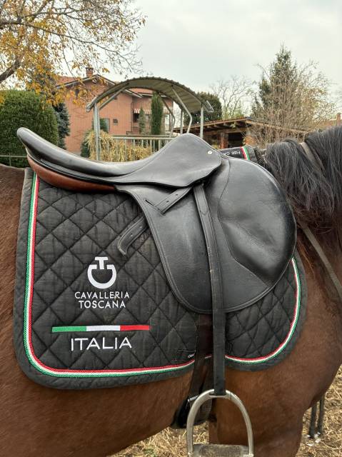 Sella Macel misura 18