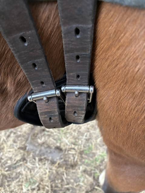 Sella Macel misura 18