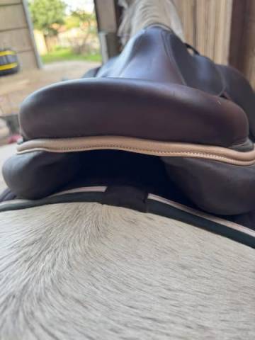 Sella mista Forestier  17.5" - 2023