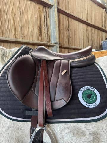 Sella mista Forestier  17.5" - 2023