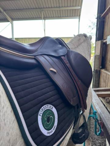 Sella mista Forestier  17.5" - 2023