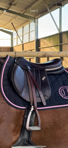 Sella mista Forestier  17.5" - 2023