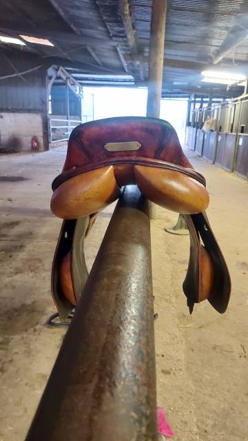 Sella mista Terrys Francis 17.5" - 2017