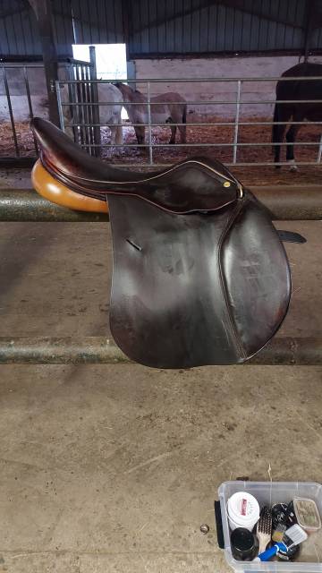 Sella mista Terrys Francis 17.5" - 2017