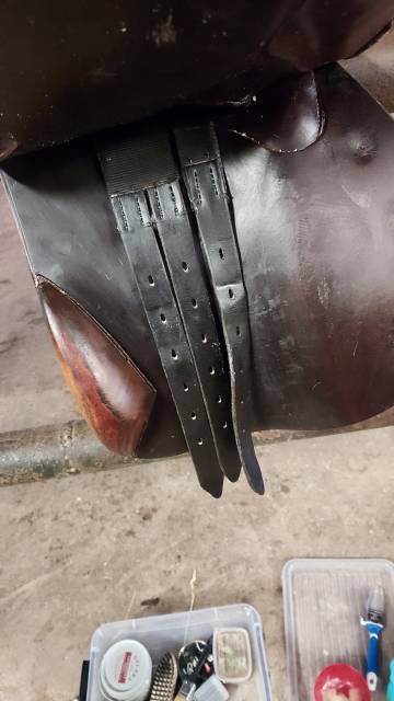 Sella mista Terrys Francis 17.5" - 2017