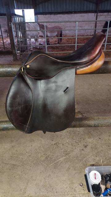 Sella mista Terrys Francis 17.5" - 2017