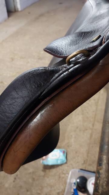 Sella mista Terrys Francis 17.5" - 2017