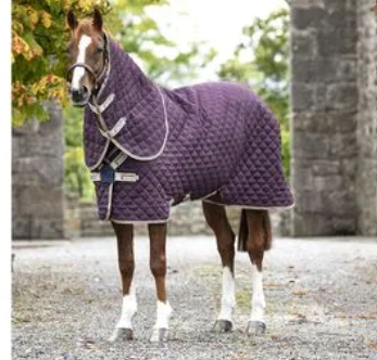  Horseware Occasione