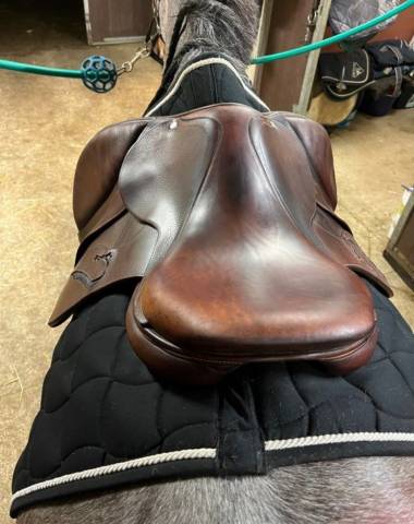 Altra sella Antarès  16.5" - 2017