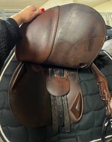 Altra sella Antarès  16.5" - 2017