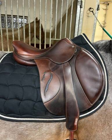 Altra sella Antarès  16.5" - 2017