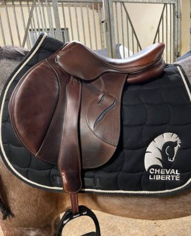 Altra sella Antarès  16.5" - 2017