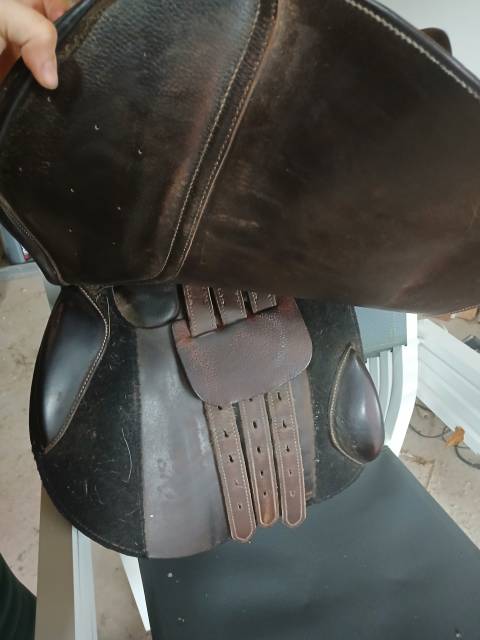 Sella mista   17.5" - 2018