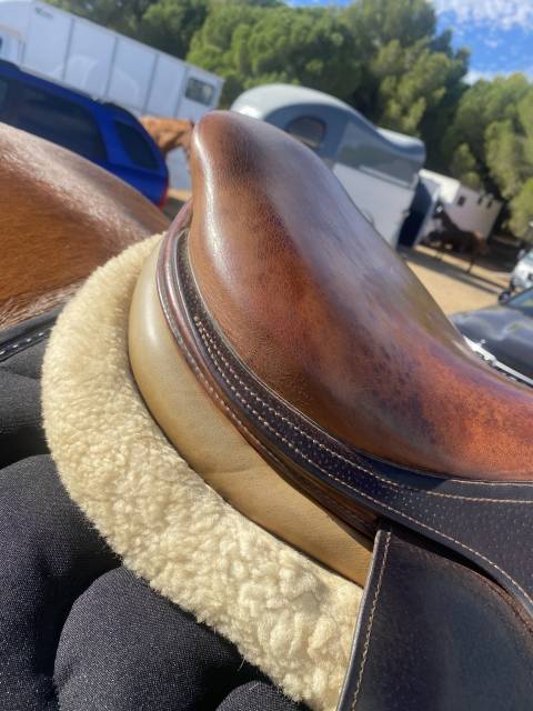 Sella mista CWD  17.5" - 2004