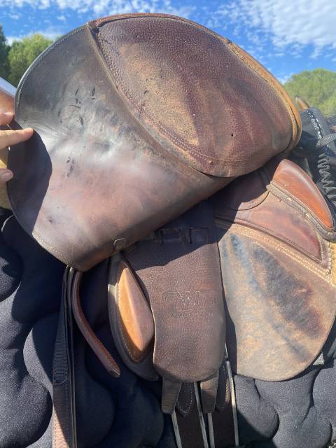 Sella mista CWD  17.5" - 2004