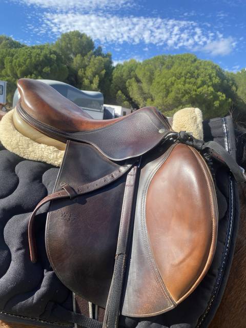 Sella mista CWD  17.5" - 2004