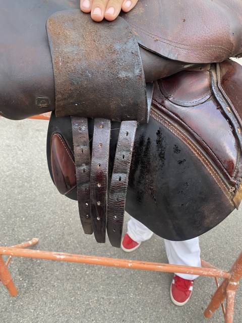 Sella mista CWD  17.5" - 2004