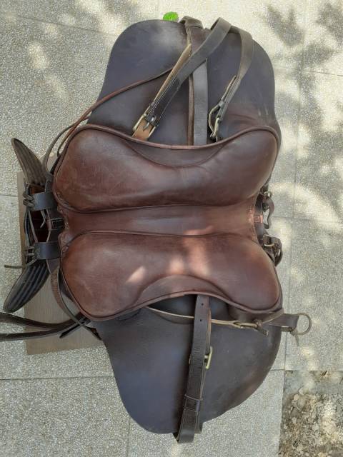 Sella camarghese  européenne 18.5" - 2000