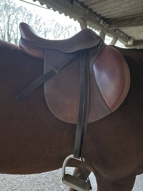 Sella mista Eric Thomas  17" - 2020