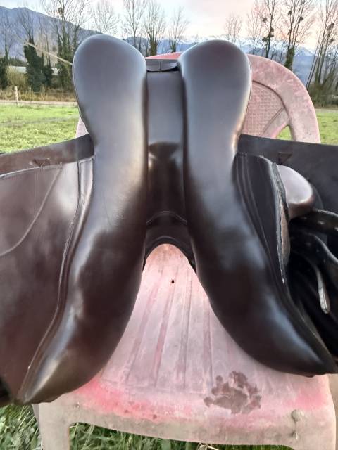 Sella da salto ostacoli Ideal  17.5" - 2024