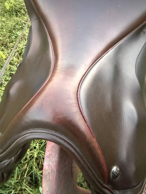 Sella da salto ostacoli Ideal  17.5" - 2024