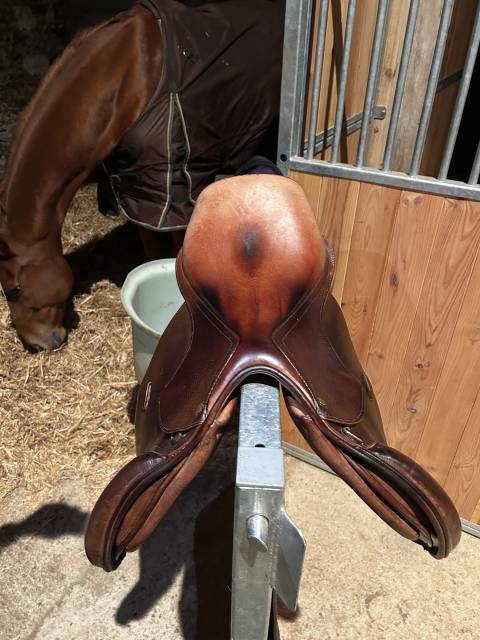 Sella mista Henri de Rivel  17.5" - 2015