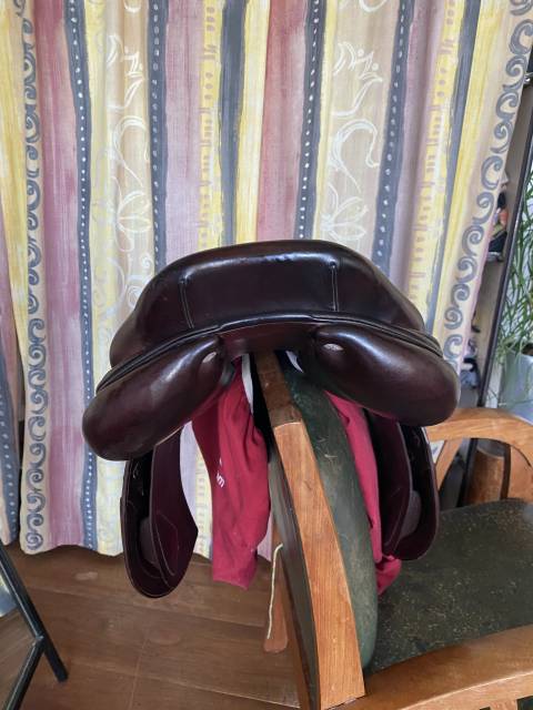 Sella da salto ostacoli CWD  18" - 2017