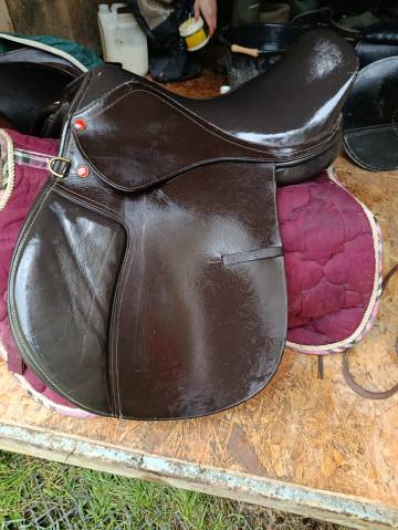 Sella mista   17.5" - 2010