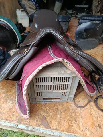 Sella mista   17.5" - 2010