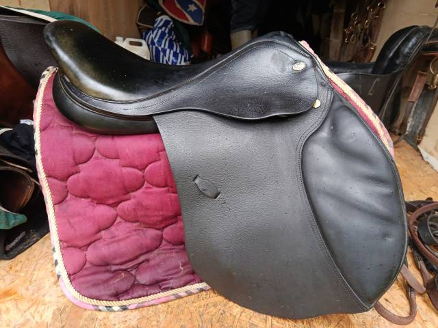 Sella da salto ostacoli Eric Thomas  17.5" - 2010