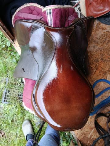 Sella da salto ostacoli Antarès Altaïr 17.5" - 2010