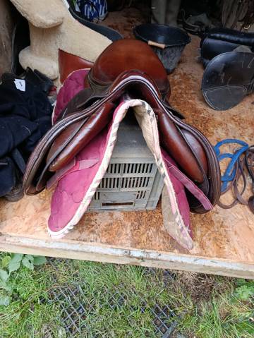 Sella da salto ostacoli Antarès Altaïr 17.5" - 2010