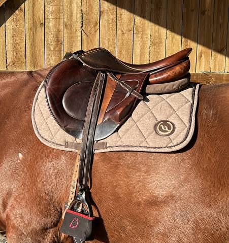 Sella da cross Childeric  18" - 2014