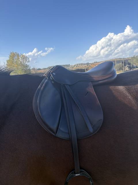 Sella mista Equipe  17.5" - 2018