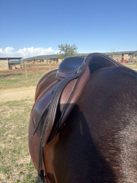 Sella mista Equipe  17.5" - 2018