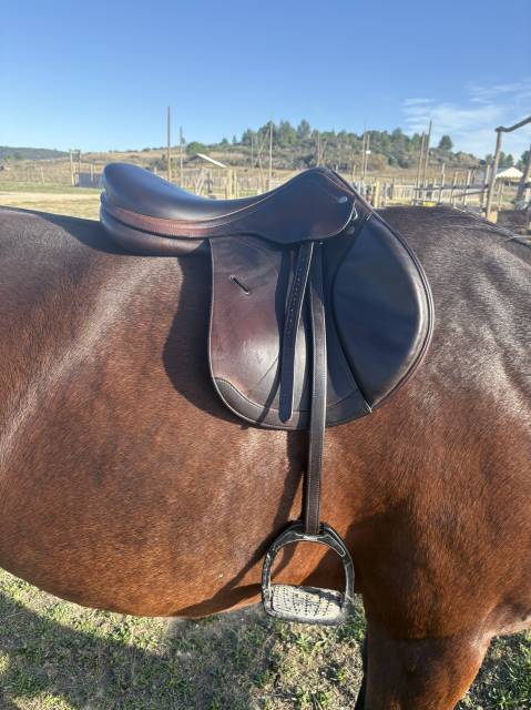 Sella mista Equipe  17.5" - 2018