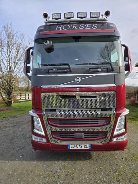 Camion per Cavalli Volvo FH 460CH EURO6 2017 Occasione