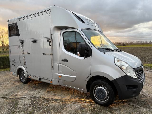 Van per Cavalli Renault Master 2017 Occasione