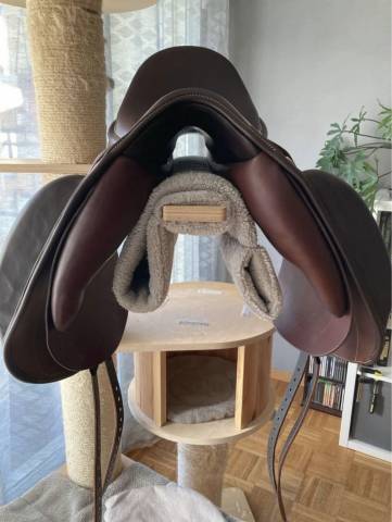 Sella mista  Patricia Rochat  17" - 2018