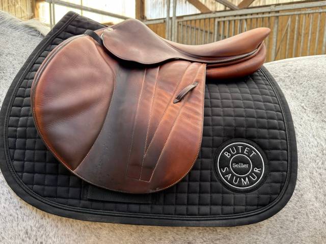 Sella da salto ostacoli Butet  17" - 2021