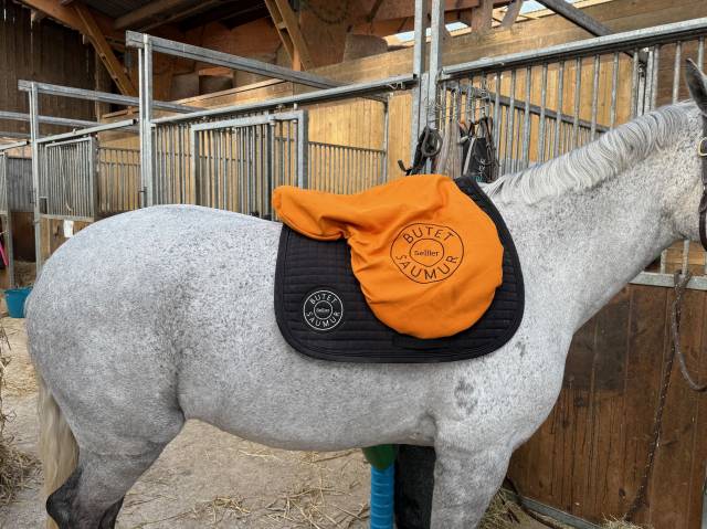 Sella da salto ostacoli Butet  17" - 2021