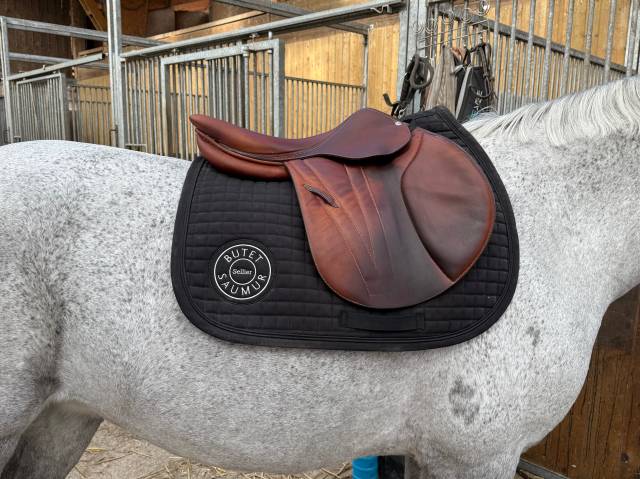 Sella da salto ostacoli Butet  17" - 2021