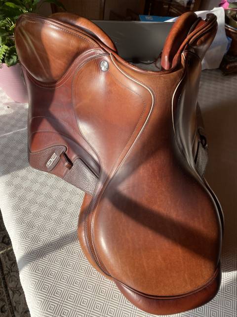 Sella da salto ostacoli CWD  17.5" - 2023