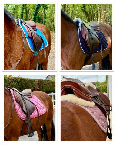 Sella mista Forestier  16.5" - 2001