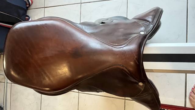 Sella da salto ostacoli Antarès Classique 17" - 2014