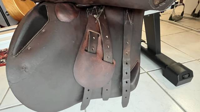 Sella da salto ostacoli Antarès Classique 17" - 2014