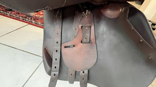 Sella da salto ostacoli Antarès Classique 17" - 2014